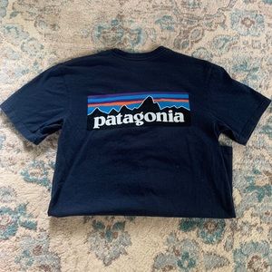 Patagonia tshirt